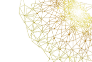 Net.png